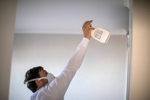 Best Mold Testing  in Swissvale, PA