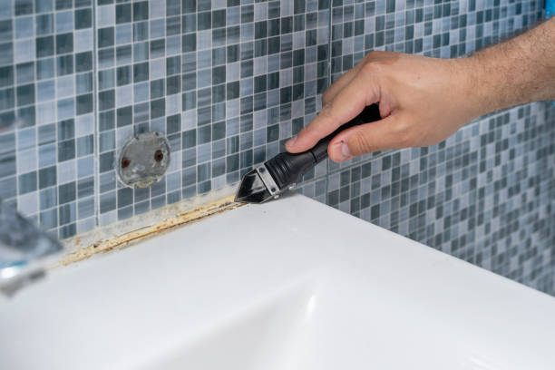 Best Home Mold Removal  in Swissvale, PA